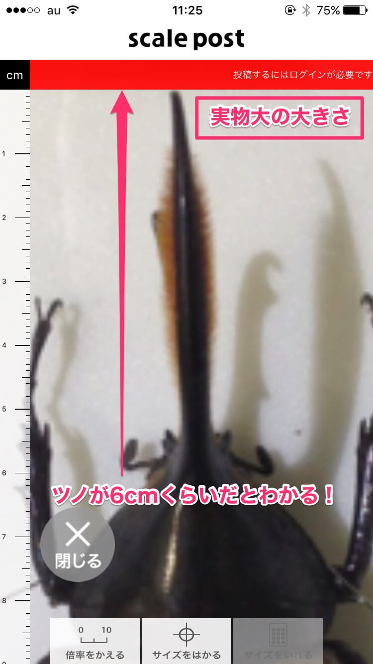 scale-post-3