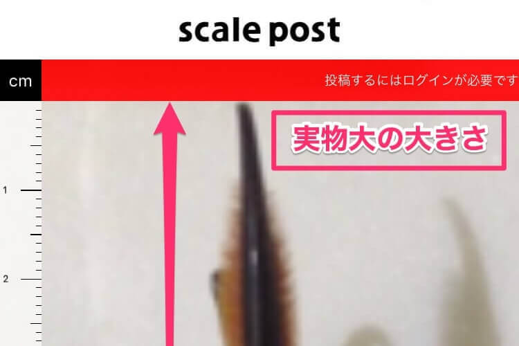 指輪や服のサイズが測定できるアプリ スケポス の使い方 Moriawase モリアワセ